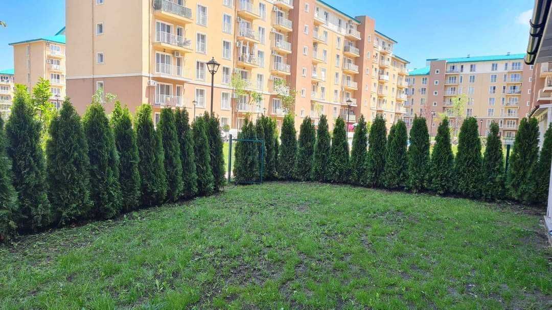 Vă oferim o gama larga de plante ornamentale preț accesibil