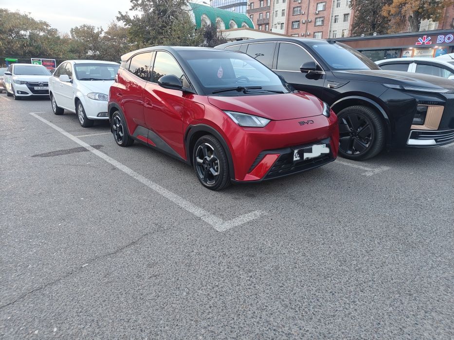 Продам BYD Seagull Flying Edition 405km Burbery Red цвет срочно!