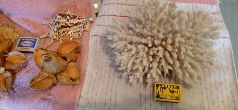 Для аквариума аксессуар смотрите фото