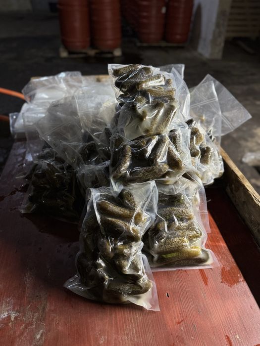 Castraveti Murati Calitate 1