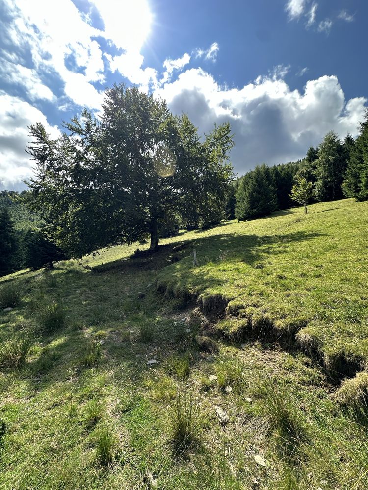 Teren statiunea Rausor,o parcela de 500mp,zona frumoasa