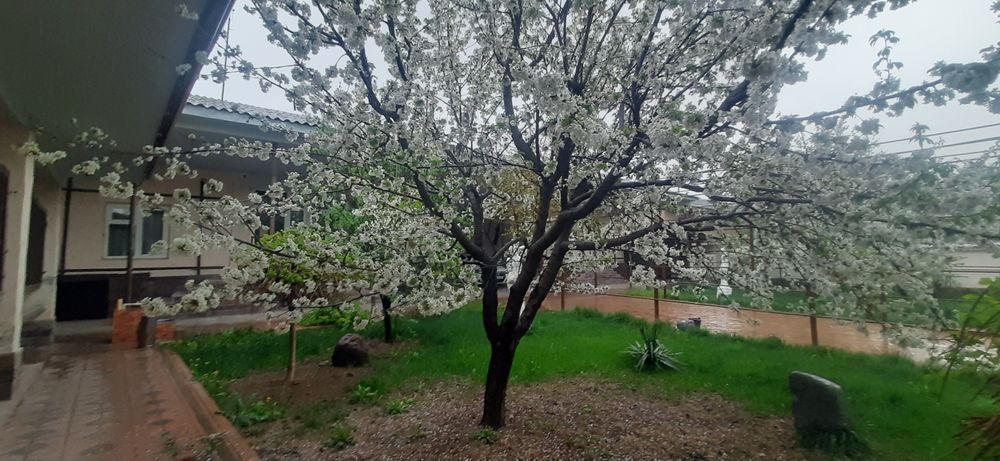 Паркент Дачный Участок в доль дороги готовый бизнес. 14 соток