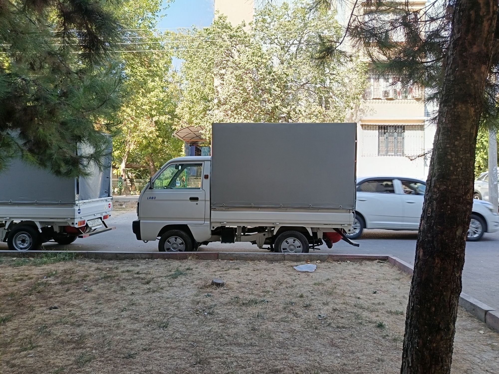 Sirochno Sotiladi GM Labo OQ 2025 yil Yengi