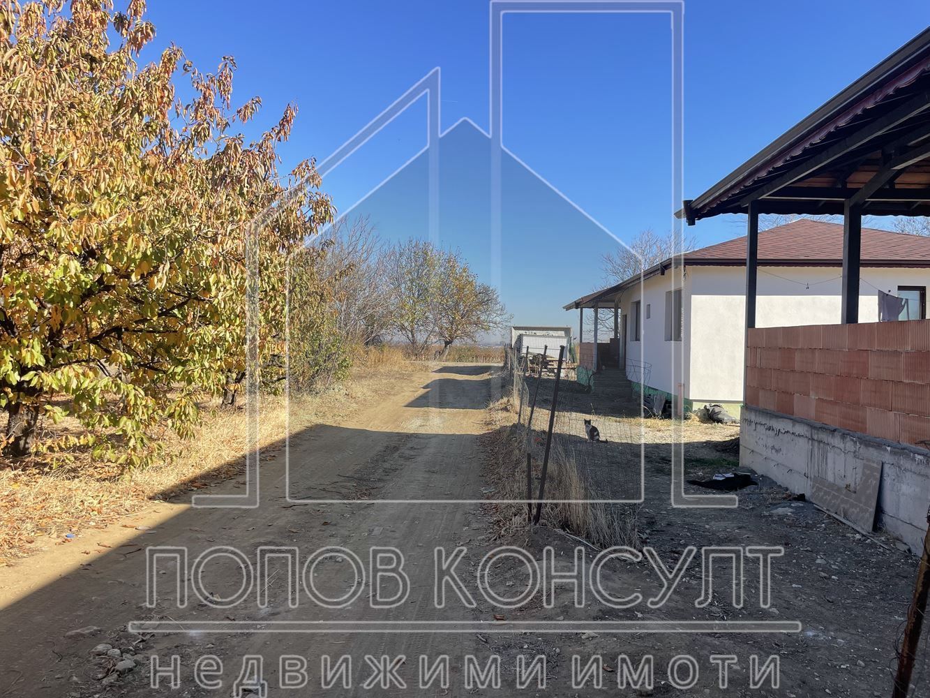 Парцел в Пловдив, област-с.Брестник площ 800 цена 64000