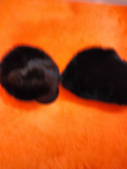 Căciulă de vulpe neagra+ șapcă blana,maro