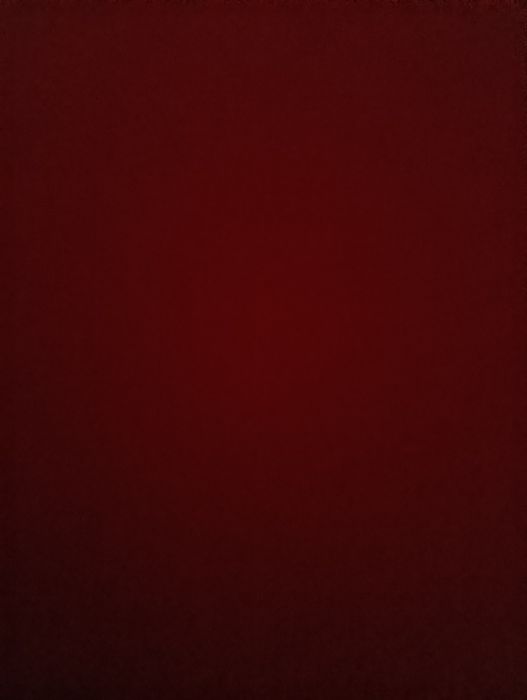 Redmi note 13 pro 5g