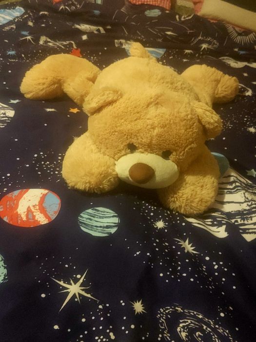 Ursulet cumparat din pepco