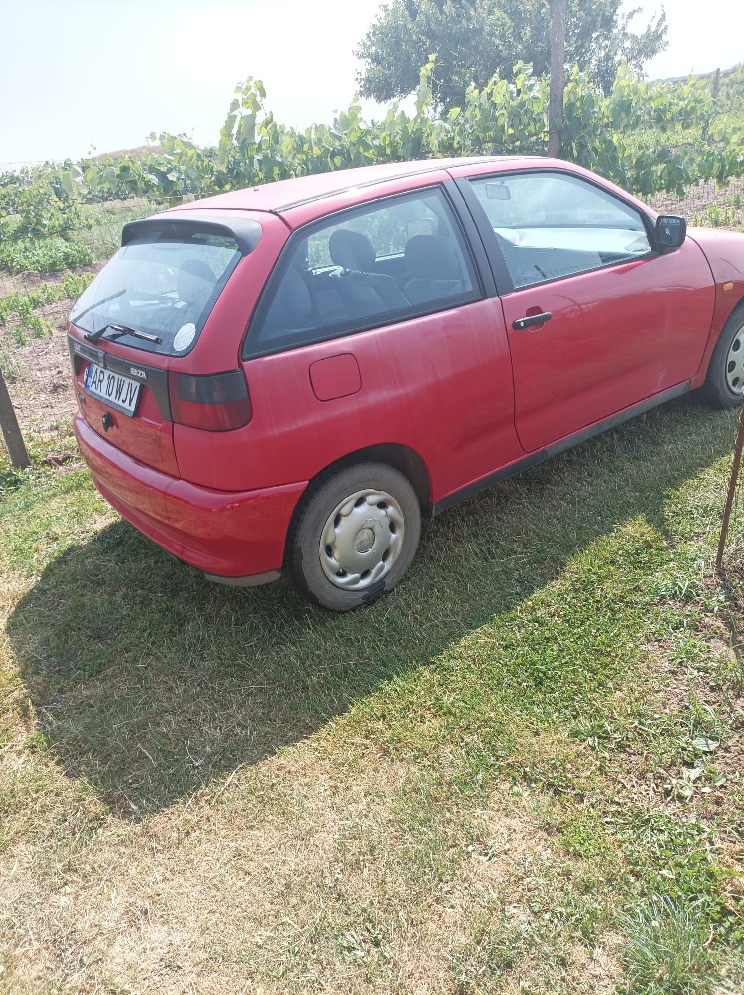 Seat Ibiza benzina