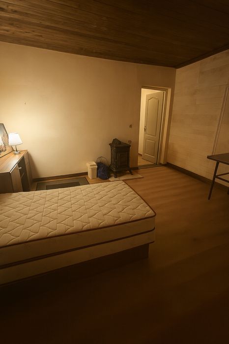 Cazare Animale Cazare caini pisici Recreatie