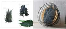 Plante stabilizate ,pentru decor tablouri si pereti vegetali