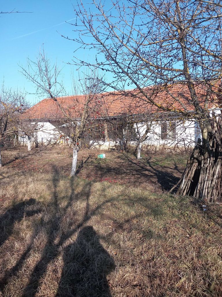 Продава се Парцел в с. Шишковци, Област Кюстендил - 1650 кв.м за 37 €/кв.м - Снимка #3