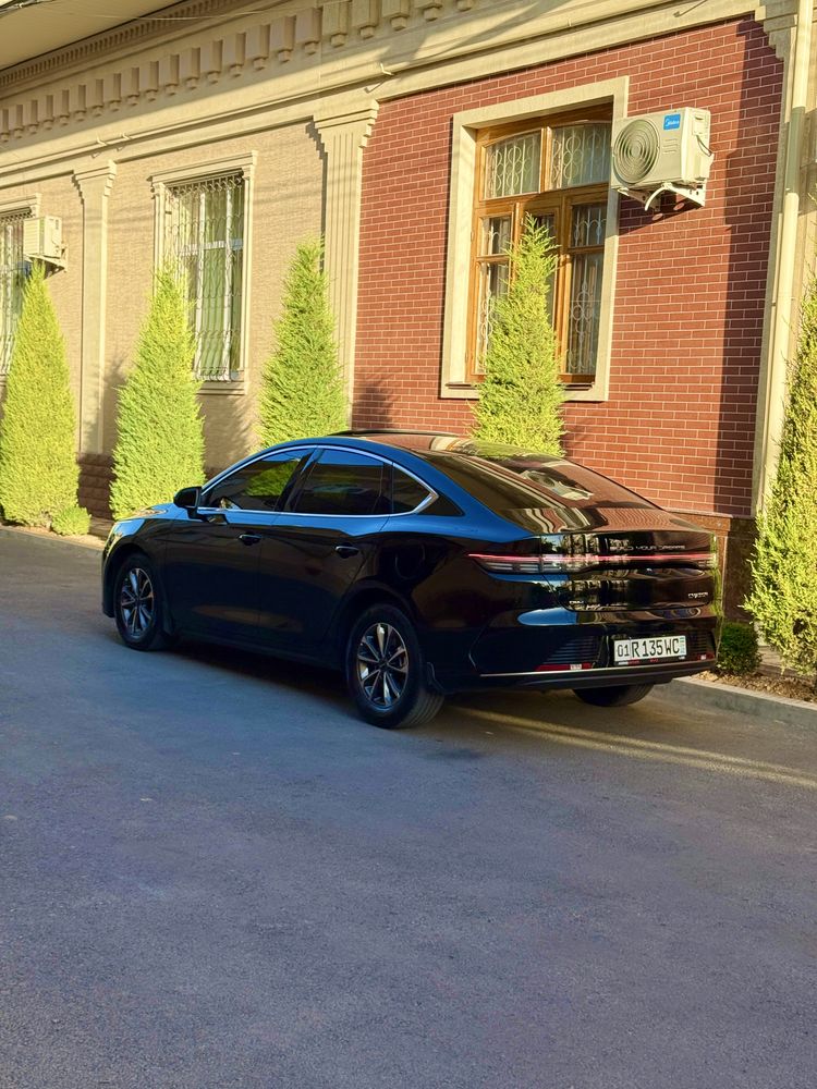 Byd chazor qora rang gbrit