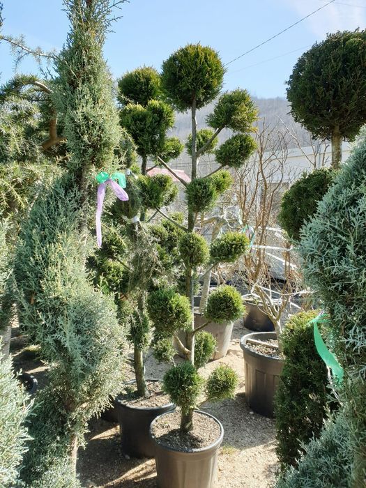 Vând spirala pon pon