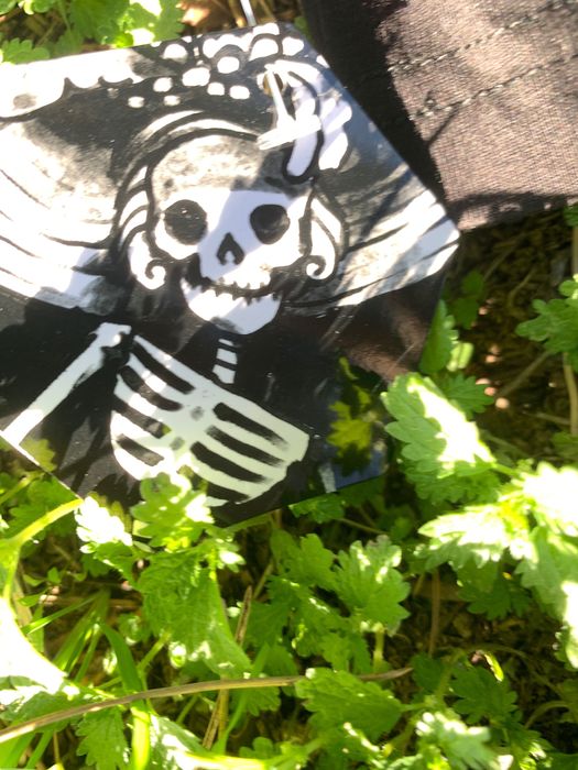 Hasta La Victoria Siempre