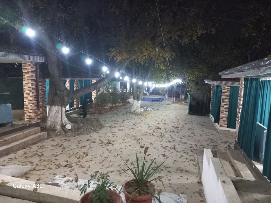 Kafe choyxona biznesi