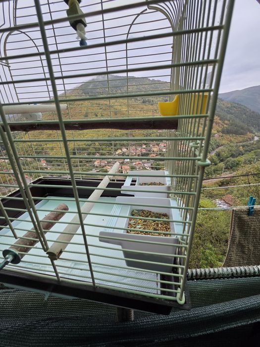 Клетка за птички