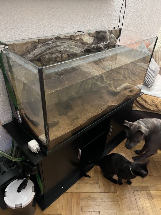 Acvariu 200l 100x40x50 cu stand si substrat jbl si decor 3d
