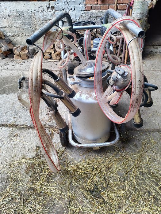 Vand aparat de muls vaci cu doua posturi