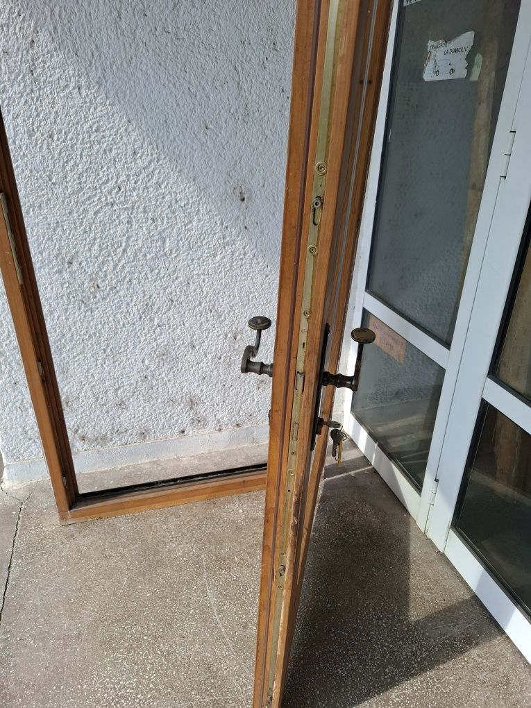 Usa exterior sticlă termopan profil lemn Austria