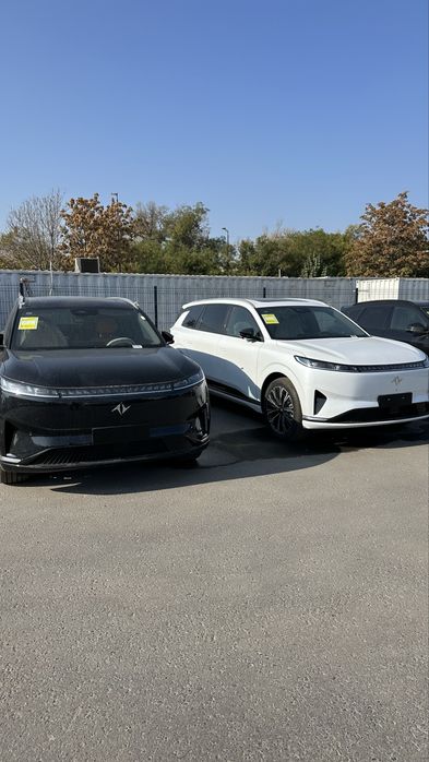 Dongfeng 008 oq qora Voyah apollo tech