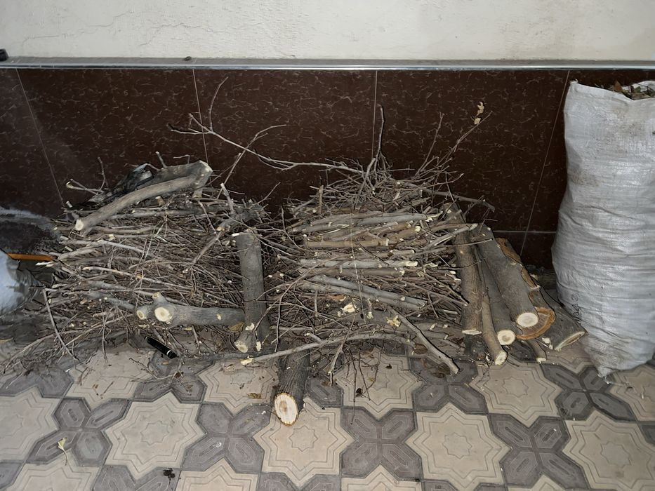 Tekinga Otin shoxlar TuT Бесплатно