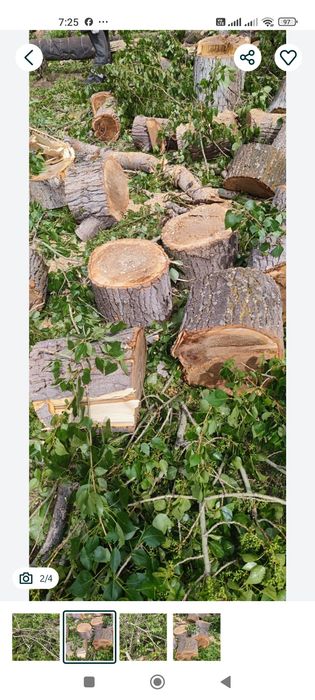 Дрова тополь чурками