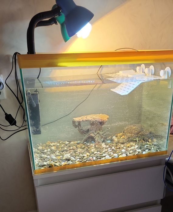 Аквариум для рыбок или черепашки