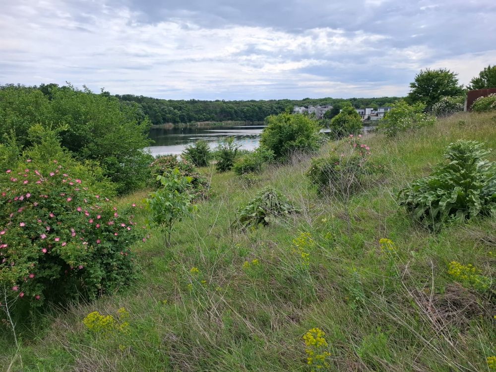 Teren intravilan-branesti ilfov-langa lac si padure