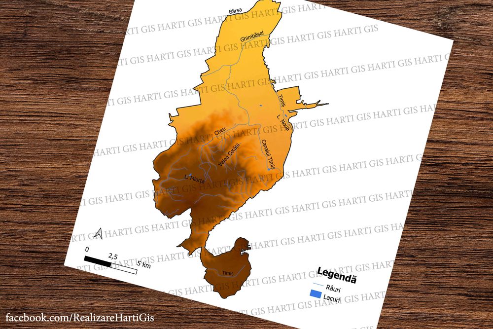Harti gis licenta/master geografie. Proiecte Microsoft Excel