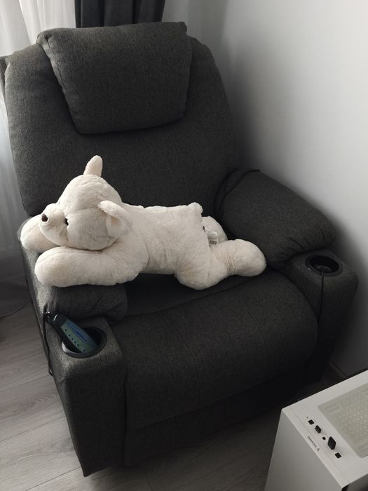 Fotoliu masaj extensibil