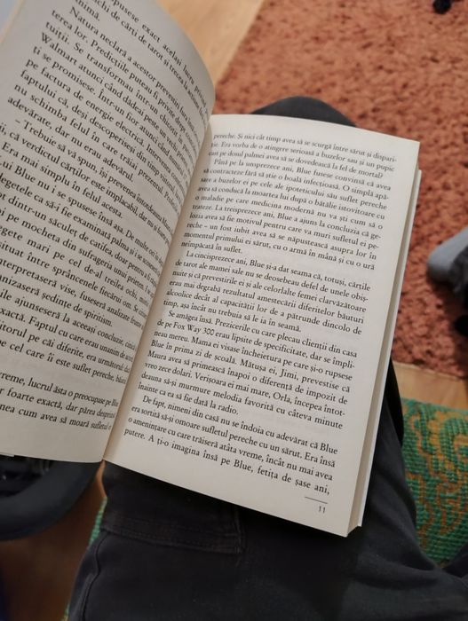 Carte Frăția Corbilor scrisă de Maggie Stefvater în română