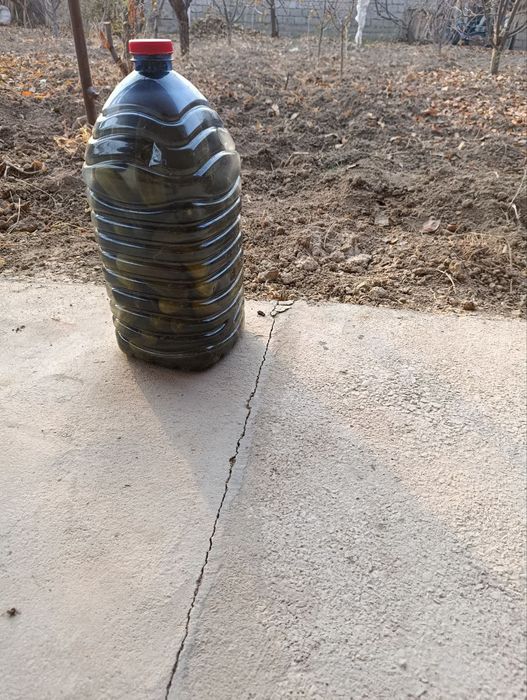 Bodiring bakalshgada