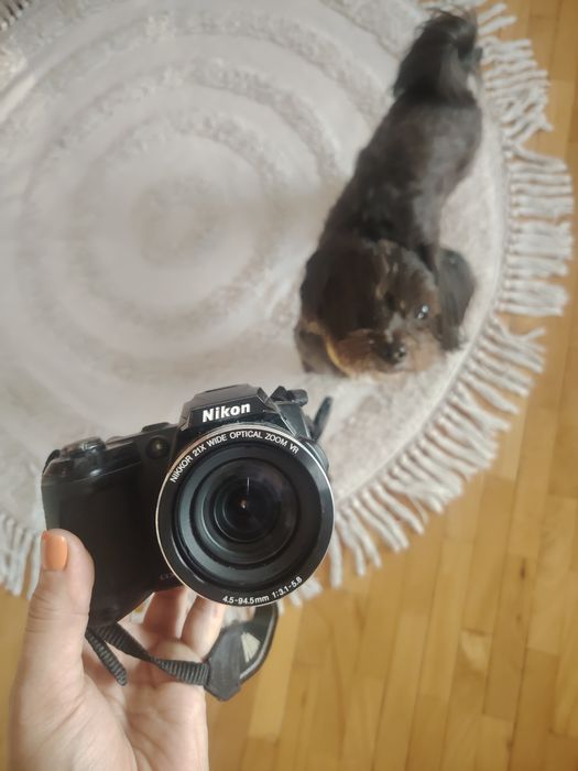 Aparat foto Nikon Coolpix L120-14.1 MP Zoom 21x