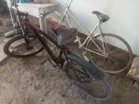 Velosiped holati oʻrtacha