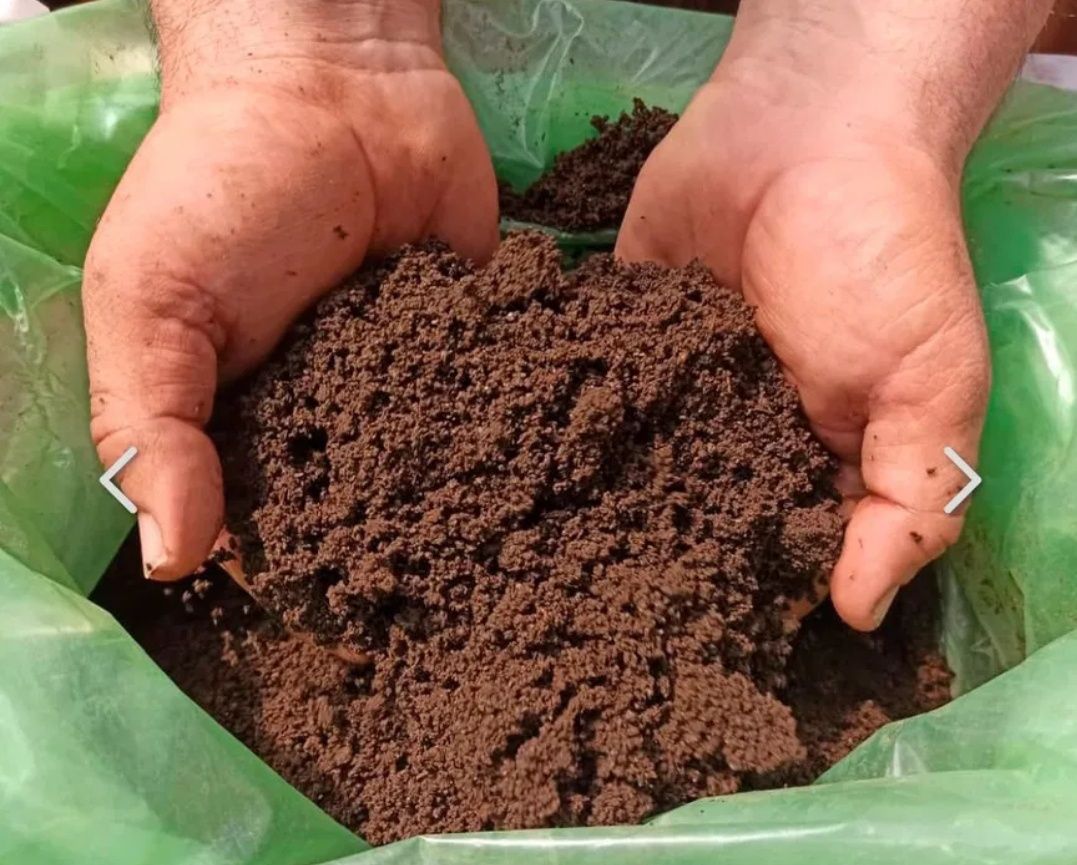 biogumus sotiladi
