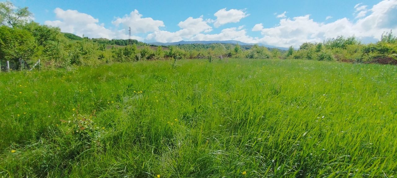Продава се Парцел в с. Студена, Област Перник - 457 кв.м за 62 €/кв.м - Снимка #5