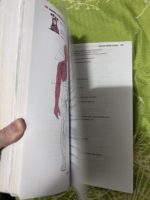 Barrons(anatomie si fiziologie)