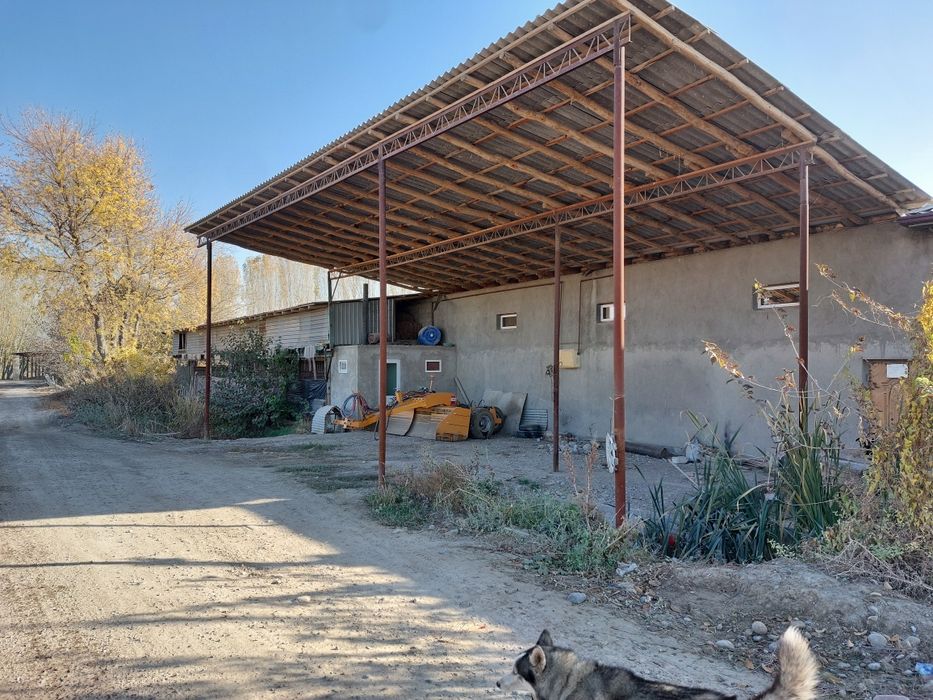 Tayor ferma sotiladi !