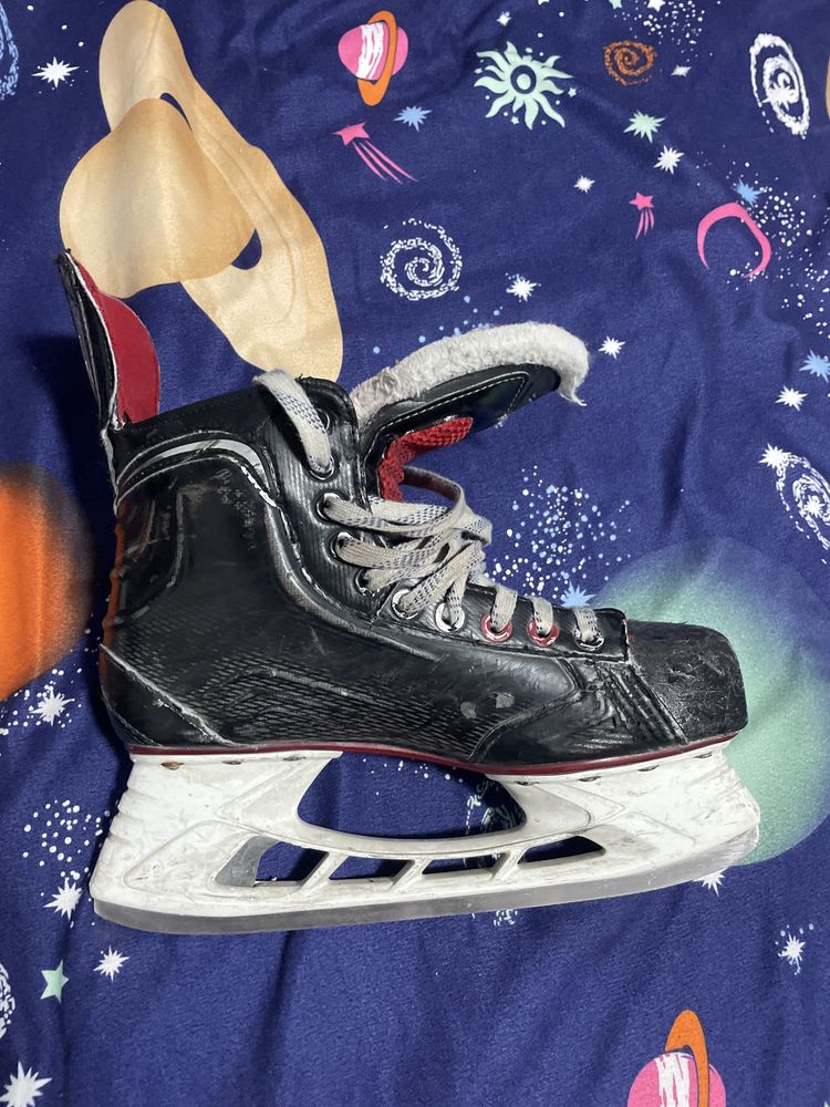 Patine hochei bauer vapor x500