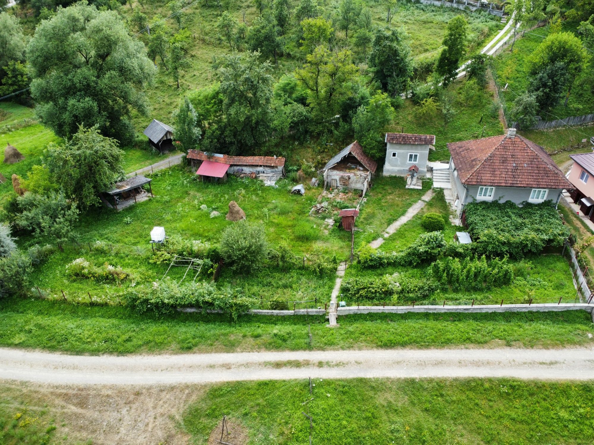 Casa cu curte in satul Blajeni