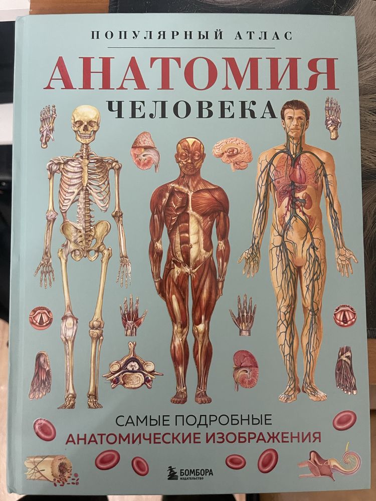 Книга по анатомии с рисунками
