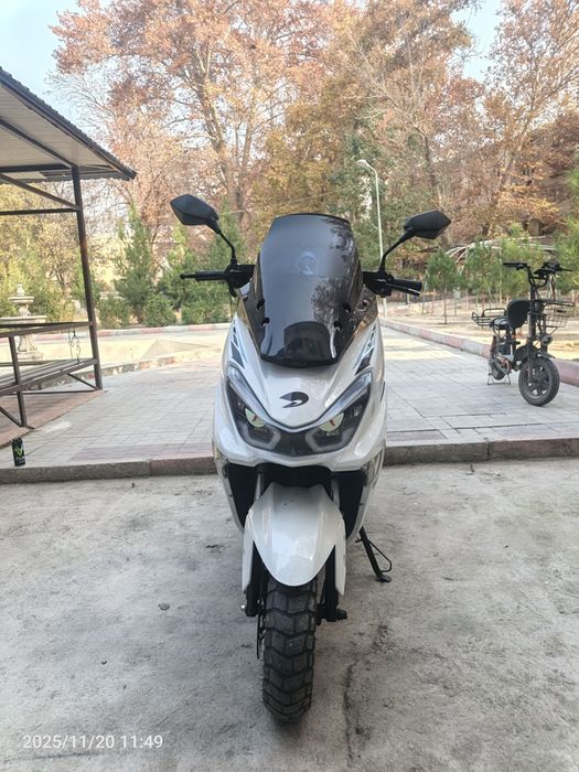 Tiger srochna sotiladi