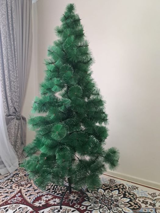 Шырша сатылады 1.20 метр 10000тг  келісім бар