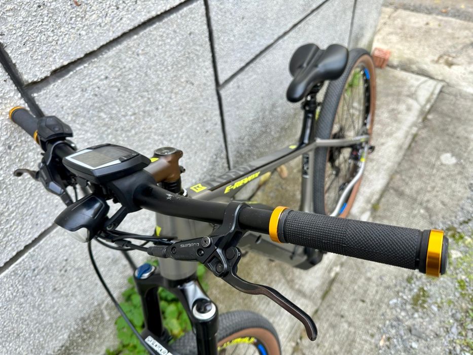 Bergamont 29" electrica