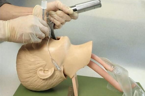 Анатомические модели муляжи для обучения медицинского персонала при чс