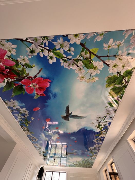 Натяжные потолки и 3D фотообои