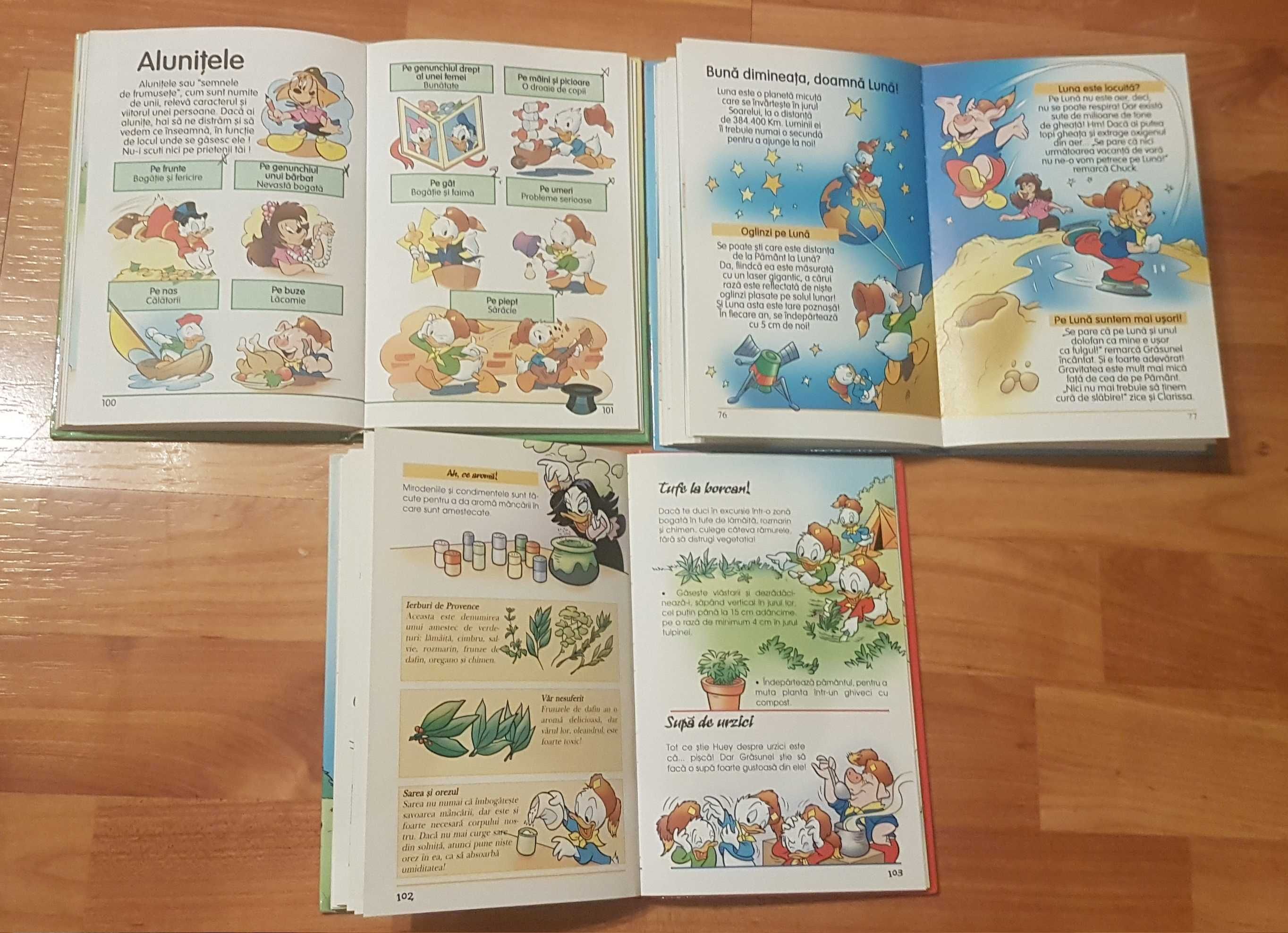 Set 3 carti din seria Manualul castorilor Juniori Egmont