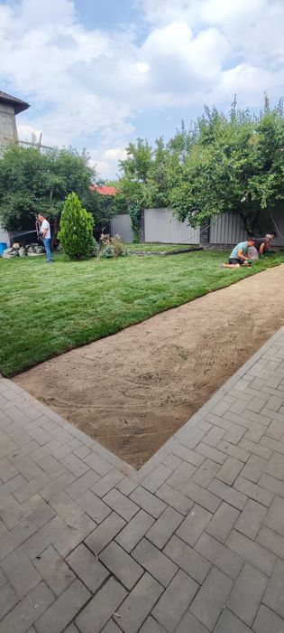 Газон. Озеленение. Посадка растений. Система полива.