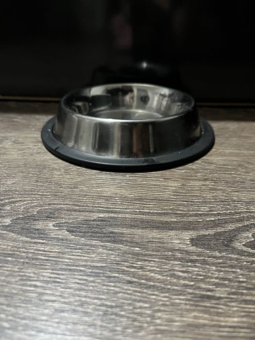 Продавам чухуахуа