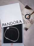 Нова гривна Pandora